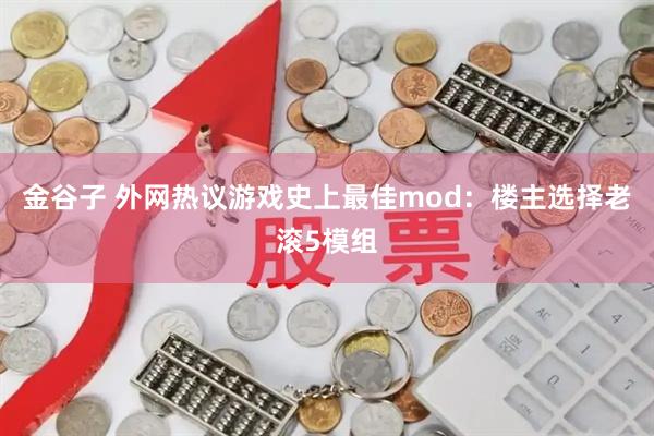 金谷子 外网热议游戏史上最佳mod:楼主选择老滚5模组