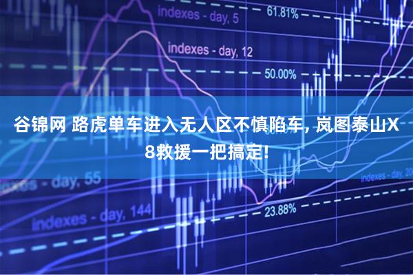 谷锦网 路虎单车进入无人区不慎陷车, 岚图泰山X8救援一把搞定!
